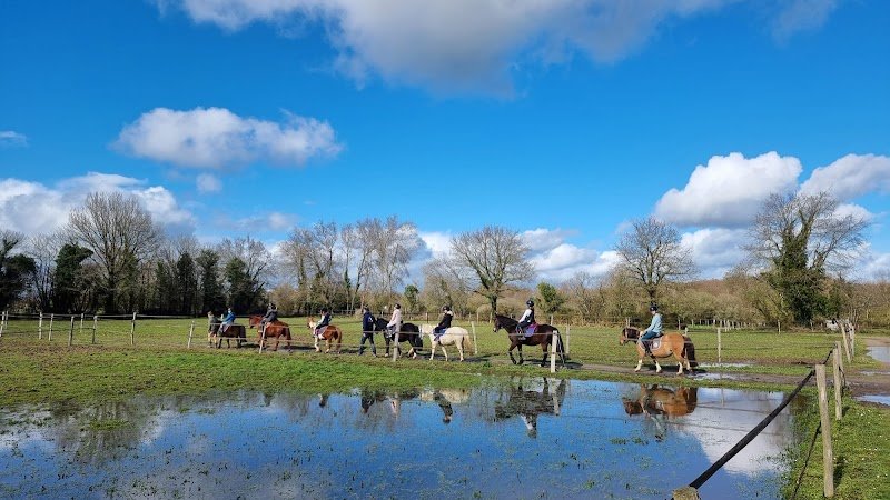 Haras de Nantes - La Vaillantière - photo 3