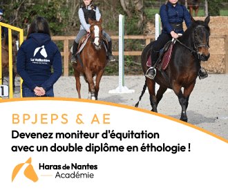 Haras de Nantes Académie - photo 1