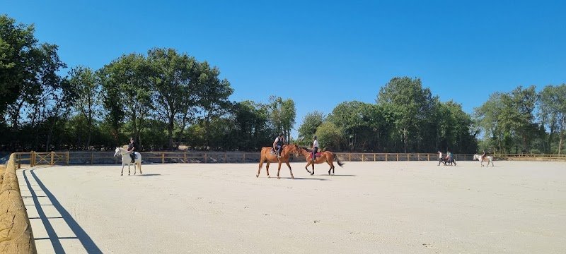 Haras de Nantes Académie - photo 3