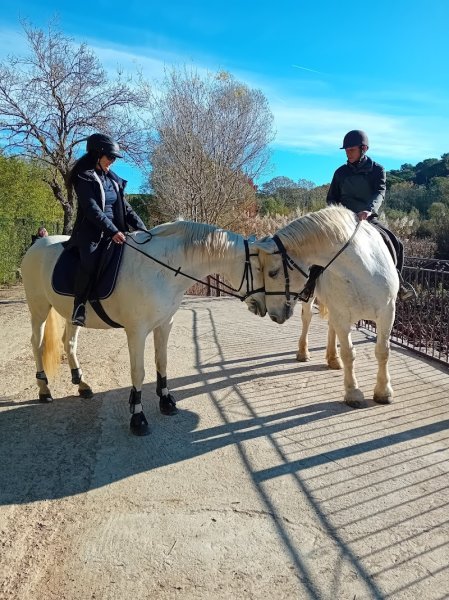 Les chevaux de Margaux - photo 1