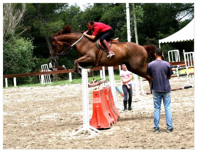Ecurie de Saint-Hubert - Ecurie de propriétaire - photo 2