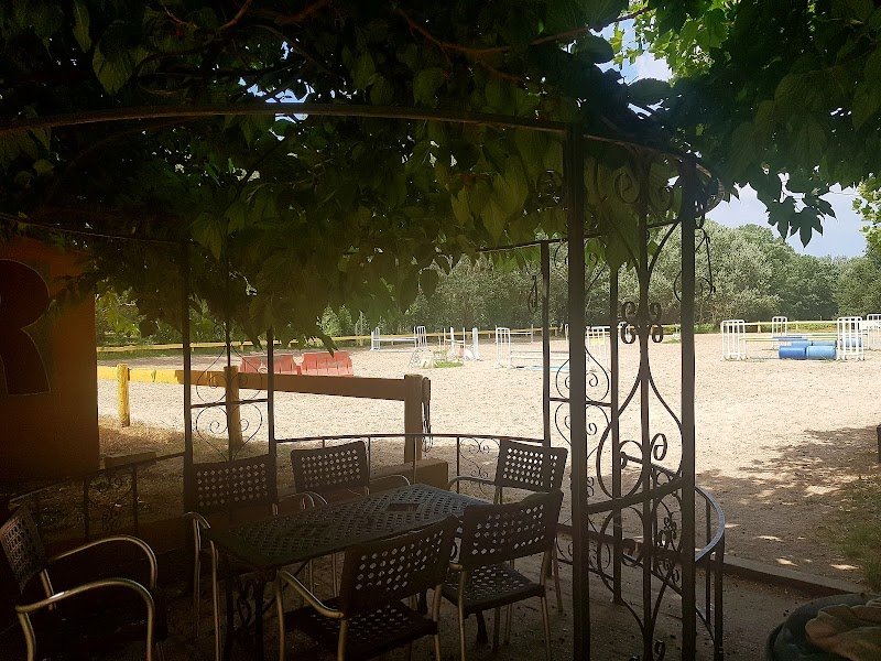 Ecurie de Saint-Hubert - Ecurie de propriétaire - photo 3