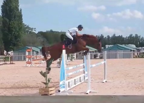 Haras de Pion Para - photo 2