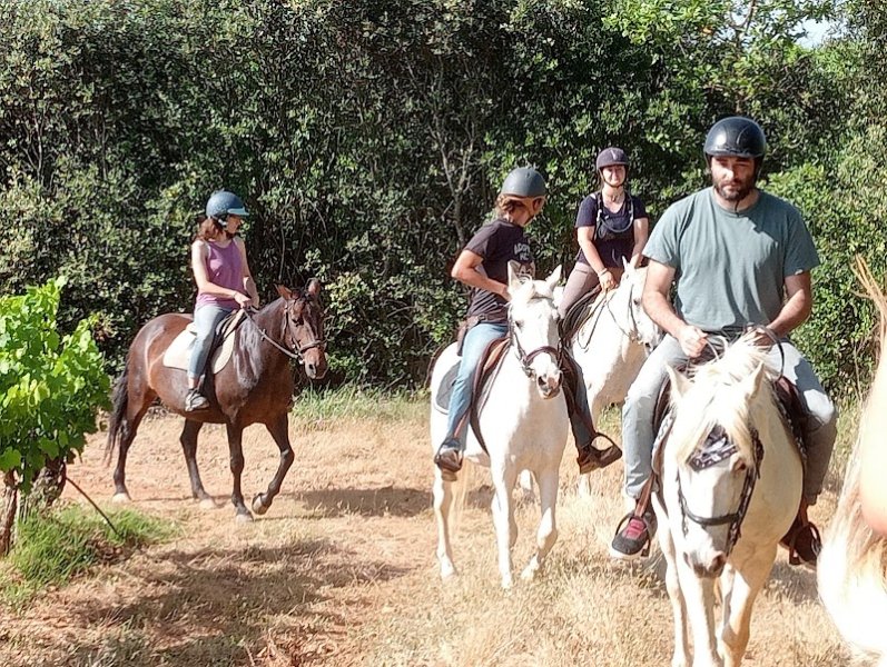 Ecurie de collombe - photo 3