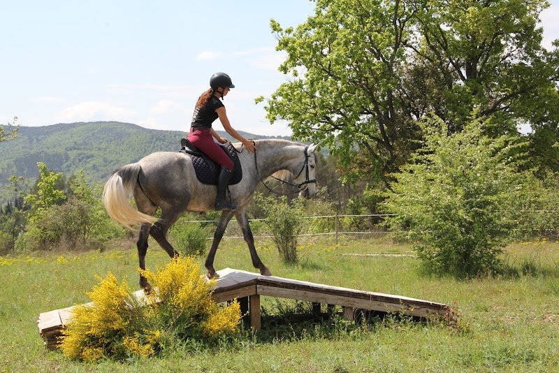 Centre Équestre Château Laval - Gréoux les bains - photo 2