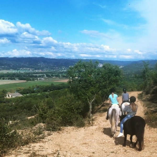 Les Ecuries D'aurabelle - photo 3