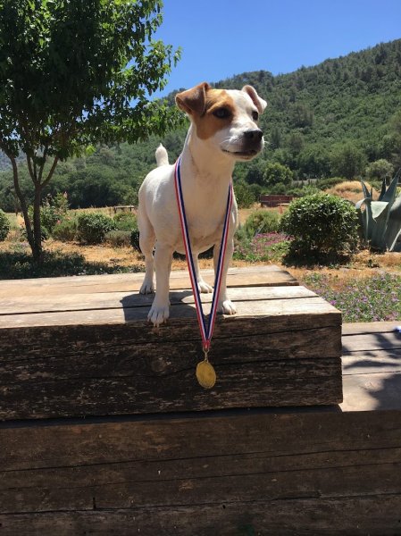 Écuries de Fontmagne - photo 2