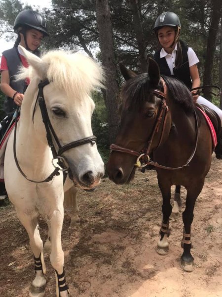 Écuries de Fontmagne - photo 3