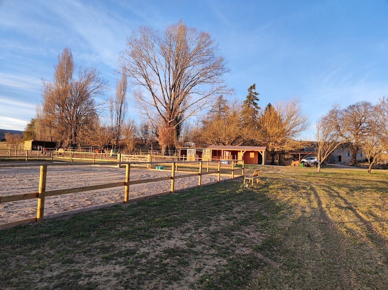 Haras de Mézicourt Élevage Pensions chevaux - photo 3