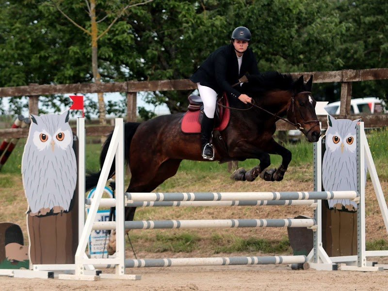 Centre équestre Saint Julien