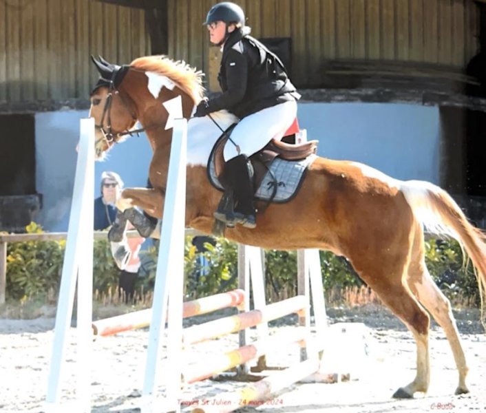 Centre équestre Saint Julien - photo 3