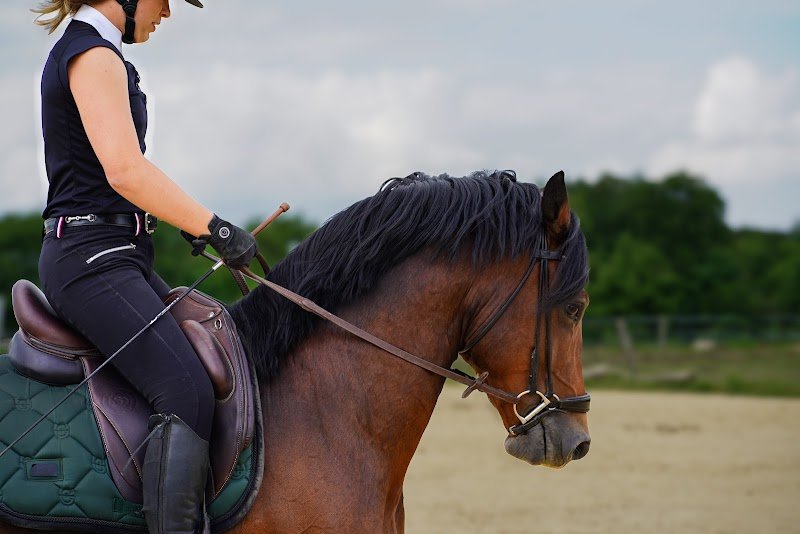 Les Ecuries du Lys, Emmanuelle Boutin - photo 1