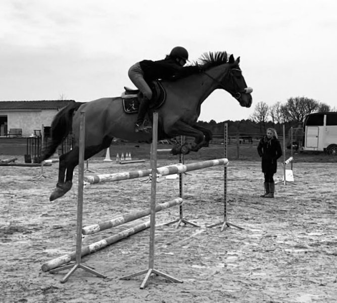 Les Ecuries du Lys, Emmanuelle Boutin - photo 2