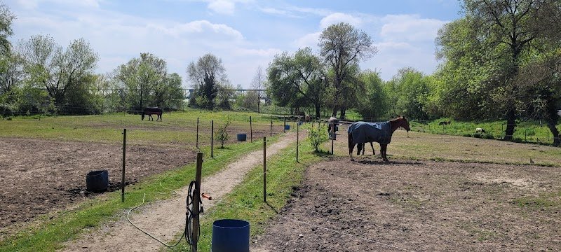 ECURIES DU HAUT BOIS - photo 2