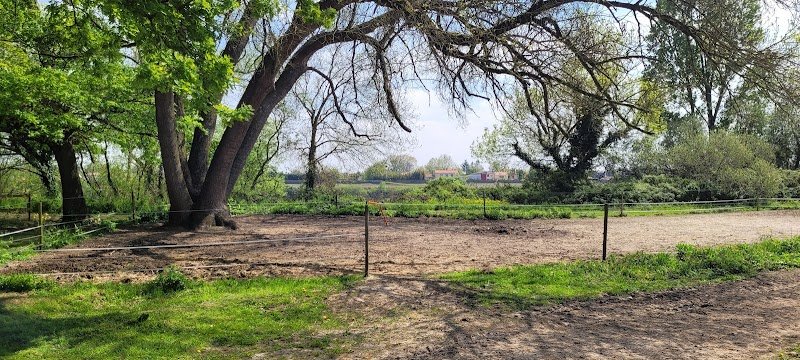 ECURIES DU HAUT BOIS - photo 3