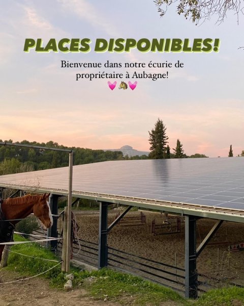 Ecurie Des Pins & Elevage De Premol - photo 1