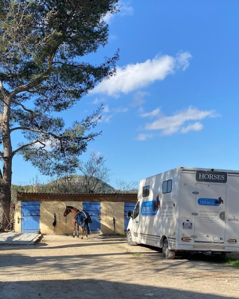 Ecurie Des Pins & Elevage De Premol - photo 2