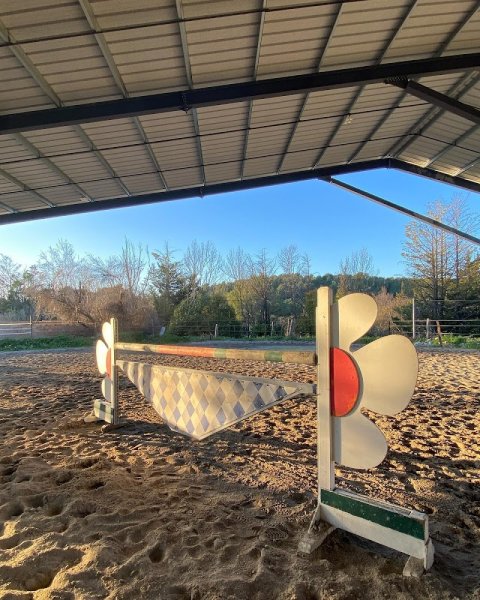 Ecurie Des Pins & Elevage De Premol - photo 3