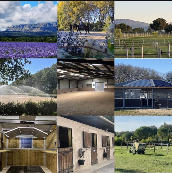 LES ECURIES DE LA FINCA - photo 2