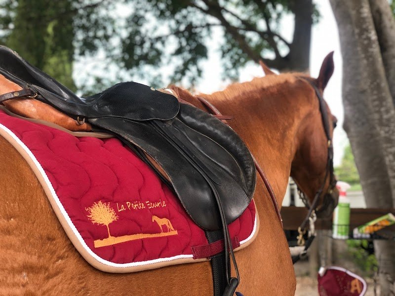 La Petite Écurie d’Anjou - photo 1