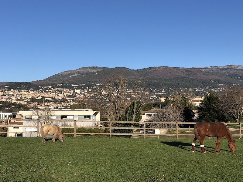 La Petite Écurie d’Anjou - photo 2