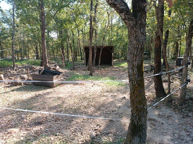 Haras du p'tit bonheur - photo 2