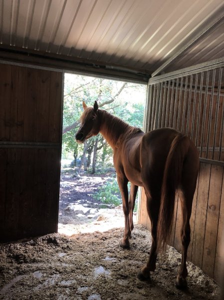 Ecurie de Pers - photo 3