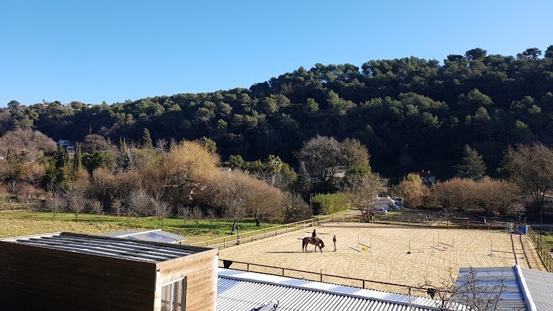 Cheval Roy - photo 1