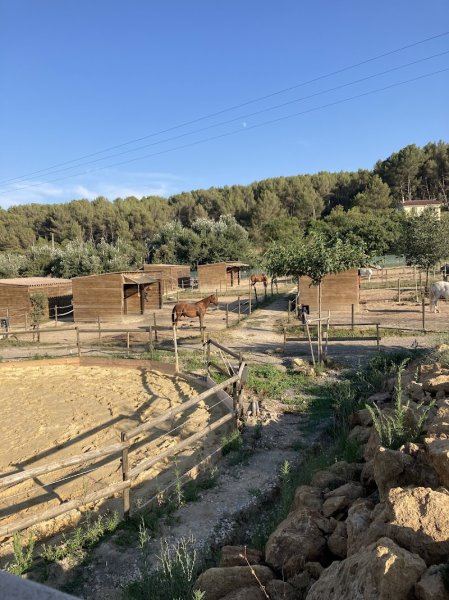 ECURIE FINCA SANTA VICTORIA