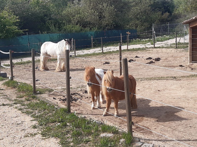 ECURIE FINCA SANTA VICTORIA - photo 2