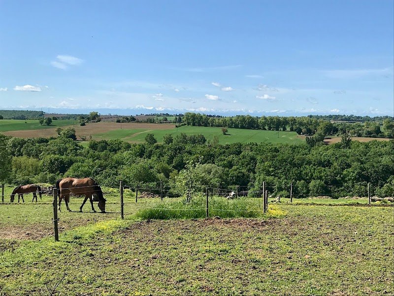 Ecuries Mons équitation - photo 2
