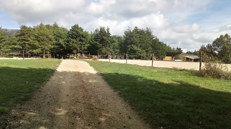 Ecurie du Trépaut 06