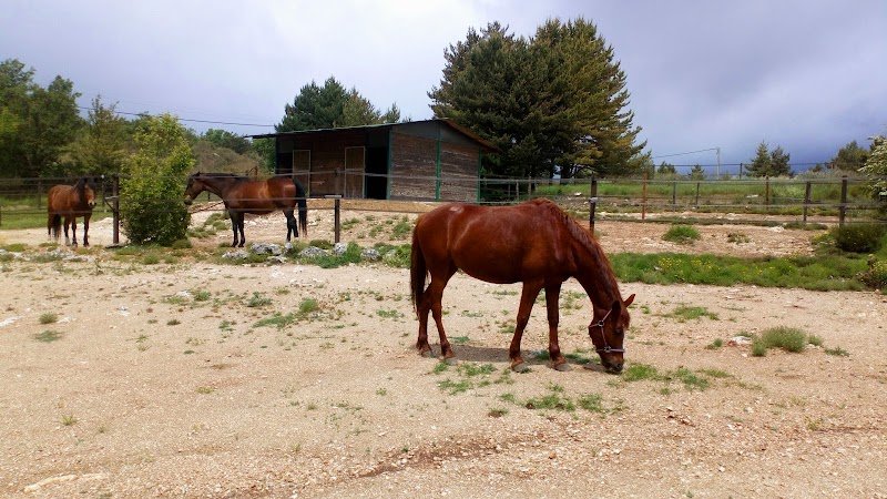 Ecurie du Trépaut 06 - photo 2