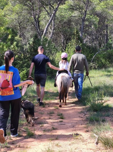 Balade Poney var - photo 2