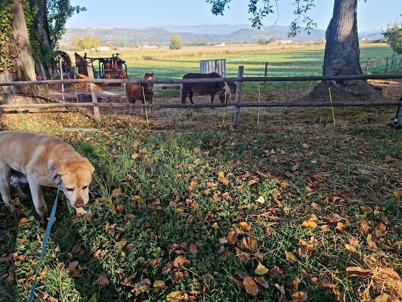 Écuries du Thor - photo 3