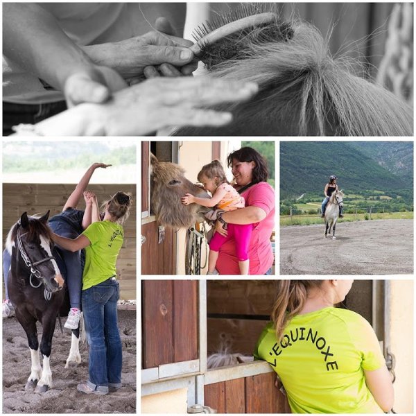 ÉCURIE ÉQUIN’OXE pension chevaux , equitherapie et élevage de chèvres angora, HAUTES ALPES - photo 2
