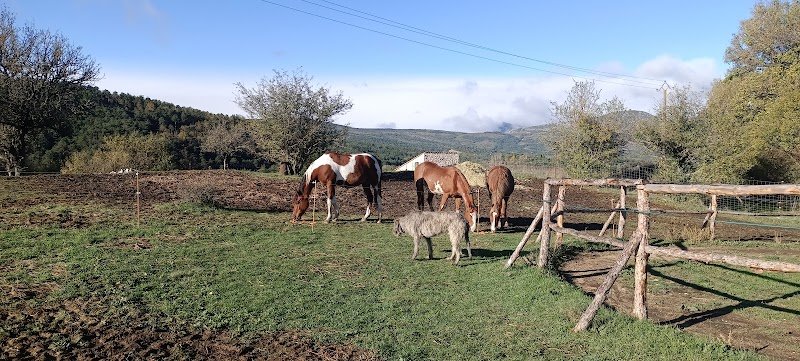 Le Cheval Sans Fers Sans Mors avec Virginie Hulin