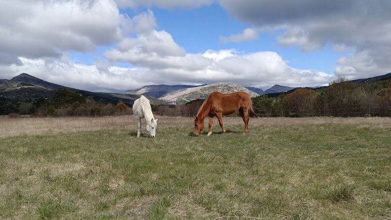 Le Cheval Sans Fers Sans Mors avec Virginie Hulin - photo 3
