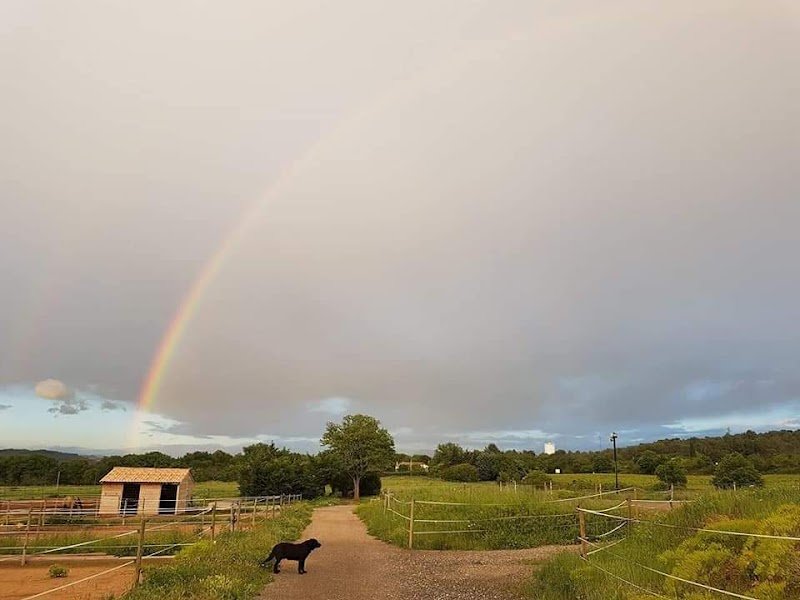 Haras de l'Olympe ( ouvert ) - photo 2