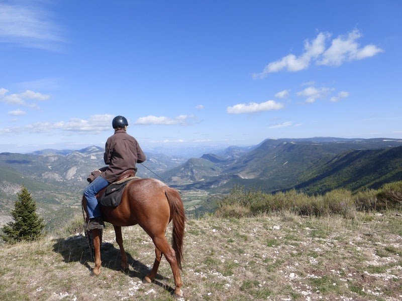 Les Ecuries du Lazare - photo 2
