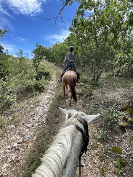 Les Ecuries du Lazare - photo 3