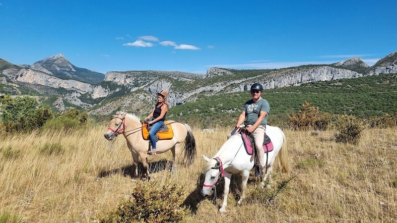 Cheval et Soleil Verdon - photo 1