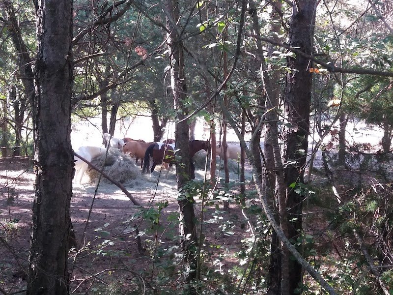Cheval et Soleil Verdon - photo 2