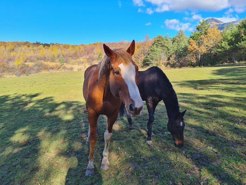 PENSION MOUIROUES E.I LA CONDAMINE - photo 2