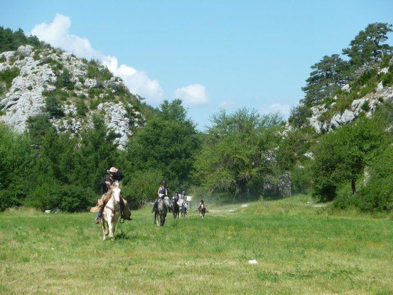 Centre Equestre La Grande Bastide - photo 1