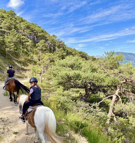 Centre Equestre La Grande Bastide - photo 2