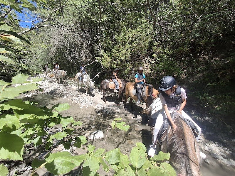 Centre Equestre La Grande Bastide - photo 3
