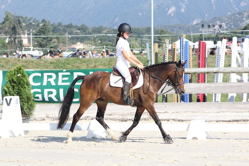 Ecurie au pied du férion gérée par Marcaillou Cindy - photo 2