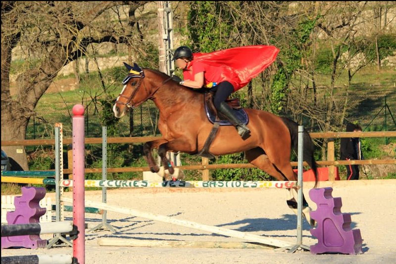 Ecurie Des Bastides - photo 2