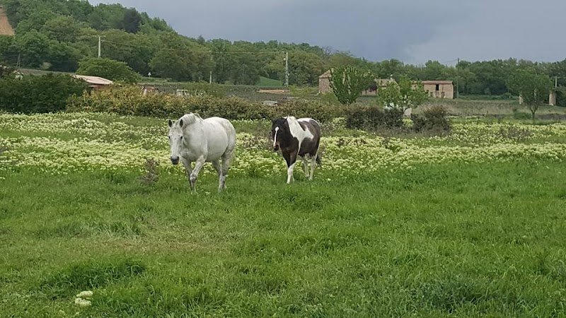 Ecurie Bastide de Castel - photo 3